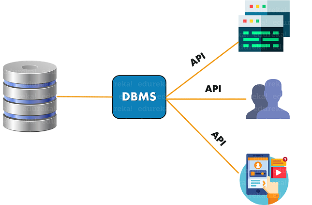 DBMS-opetusohjelma: Täydellinen kaatumiskurssi DBMS: ssä