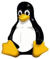 Linuxové příkazy v DevOps: Musíte vědět pro každého DevOps Professional