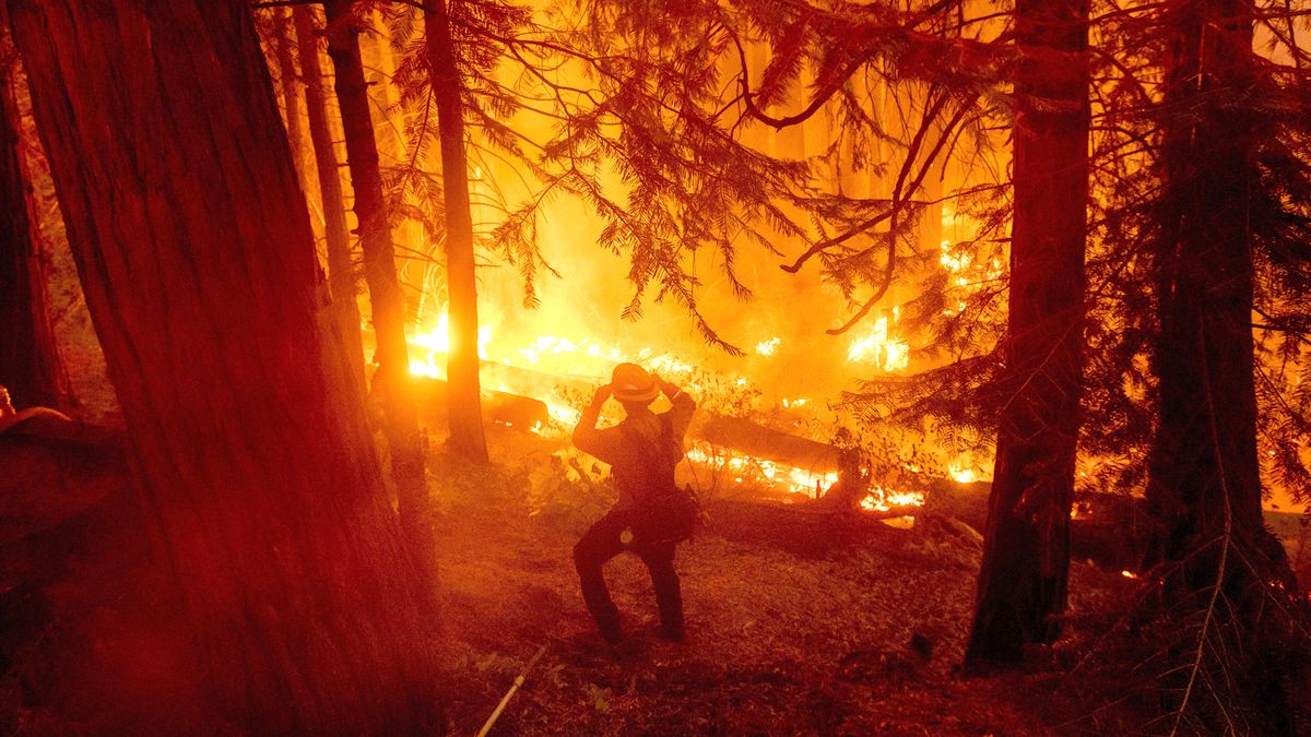 Die Trump-Administration lehnt die Soforthilfe für kalifornische Brände ab und genehmigt sie dann, einschließlich des größten Feuers in der Geschichte des Staates